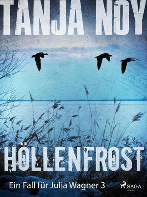 cover image of Höllenfrost--Ein Fall für Julia Wagner